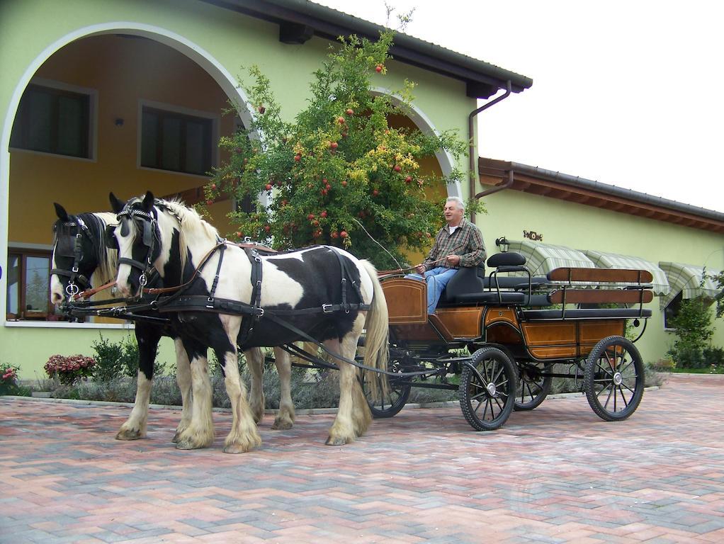 Agriturismo Nonna Rina San Liberale Extérieur photo