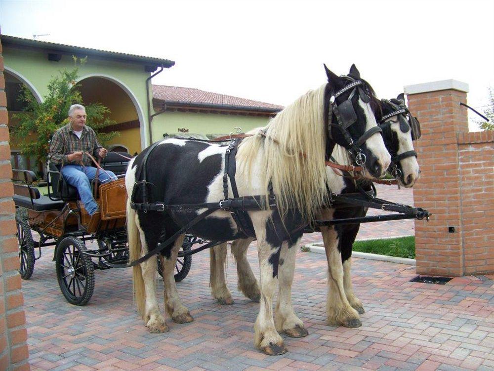 Agriturismo Nonna Rina San Liberale Extérieur photo